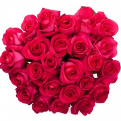Bouquet of dark pink roses
